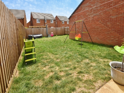 Picture 14
